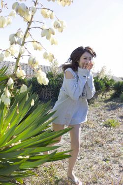 撞鸡赔6000